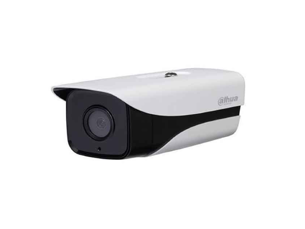 DH-IPC-HFW4230MP-4G-AS-I2