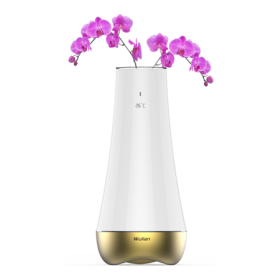 Bộ Điều Khiển Trung Tâm Dream Flower