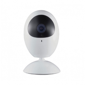 HDS-2421IRPW